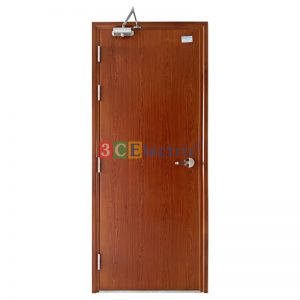 cửa thép chống cháy vân gỗ 1 cánh