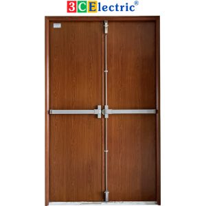 cửa thép vân gỗ chống cháy 2 cánh