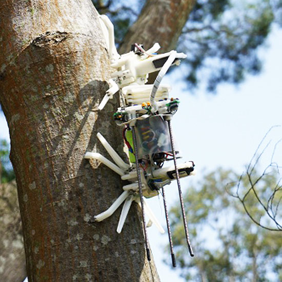 Treebot – Robot canh rừng chống lâm tặc