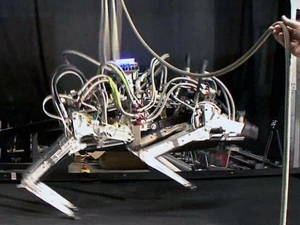 Mỹ chế tạo “báo robot” siêu tốc để phá bom mìn